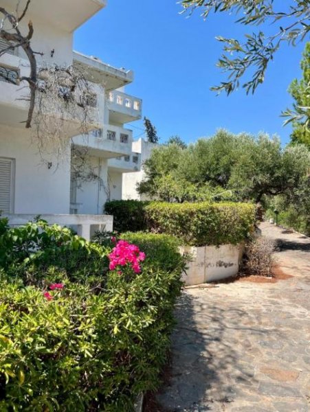 Agios Nikolaos Kreta, Agios Nikolaos: Schöne Ferienwohnungen mit Pool, Garten und Meernähe zur Renovierung Gewerbe kaufen